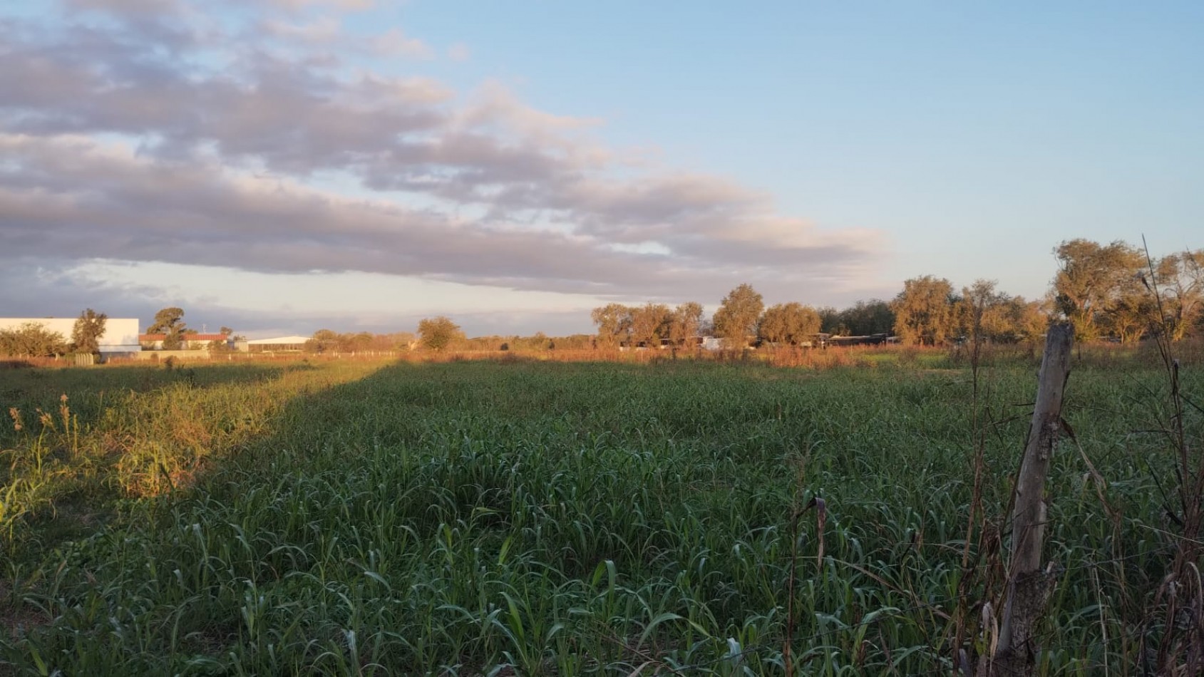 Guiñazu! Sobre Juan B Justo! Unico!