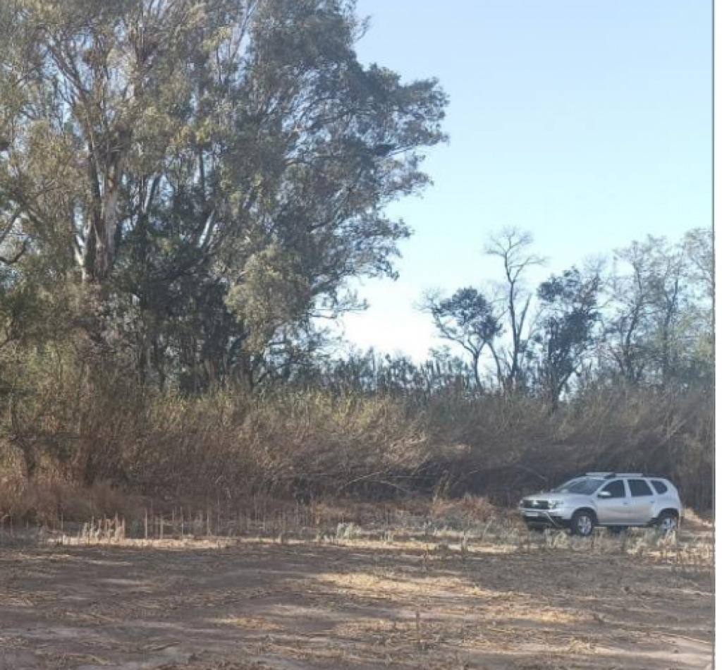 Campo en Colonia Tirolesa