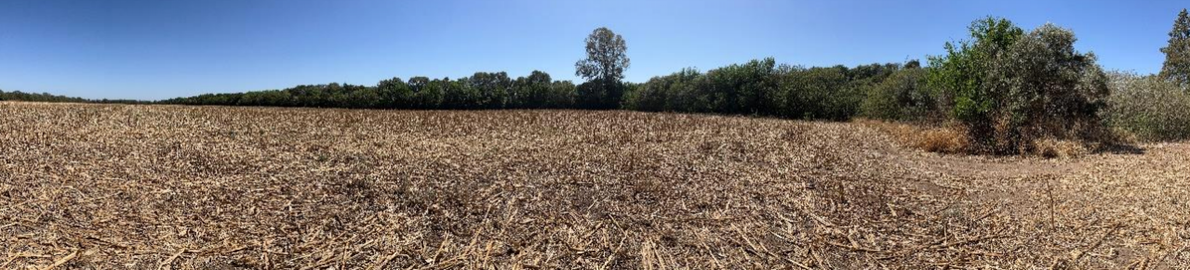 Campo en Colonia Tirolesa