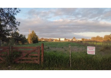 Guiñazu! Sobre Juan B Justo! Unico!