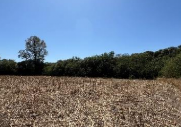 Campo en Colonia Tirolesa